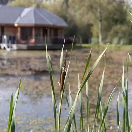 Woodland In Vencimont