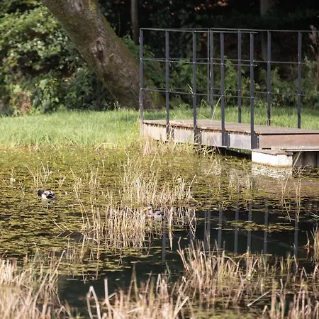 Woodland In Hébergement de vacances