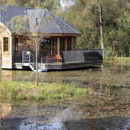Woodland In Hébergement de vacances